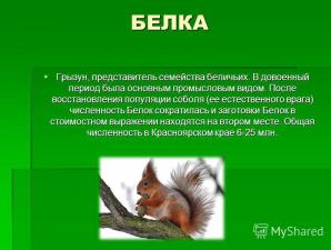 Дикие животные красноярского края презентация к уроку на тему